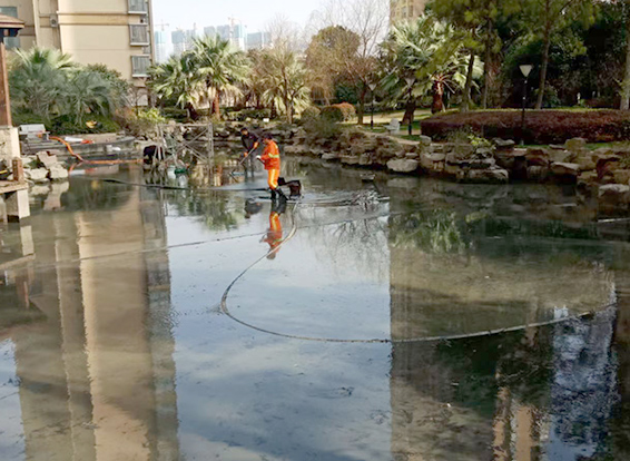 临安景观池淤泥清理